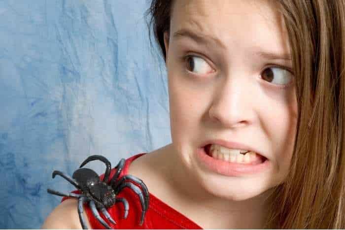 Bambina che ha paura dei ragni