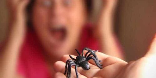 Come superare la fobia dei ragni?