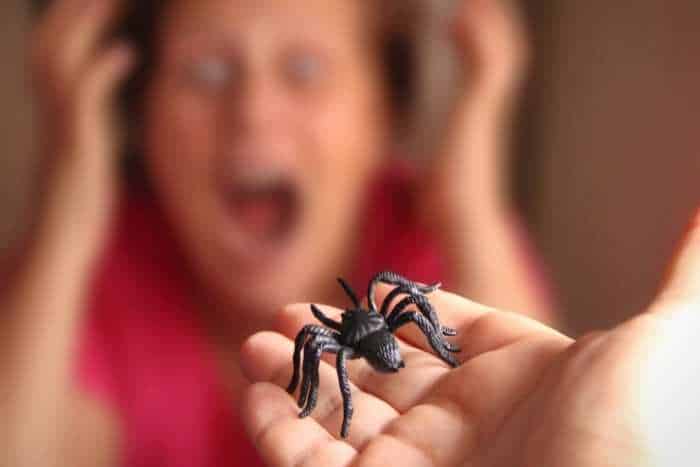 Al momento stai visualizzando Come superare la fobia dei ragni?